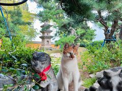 -龙华寺