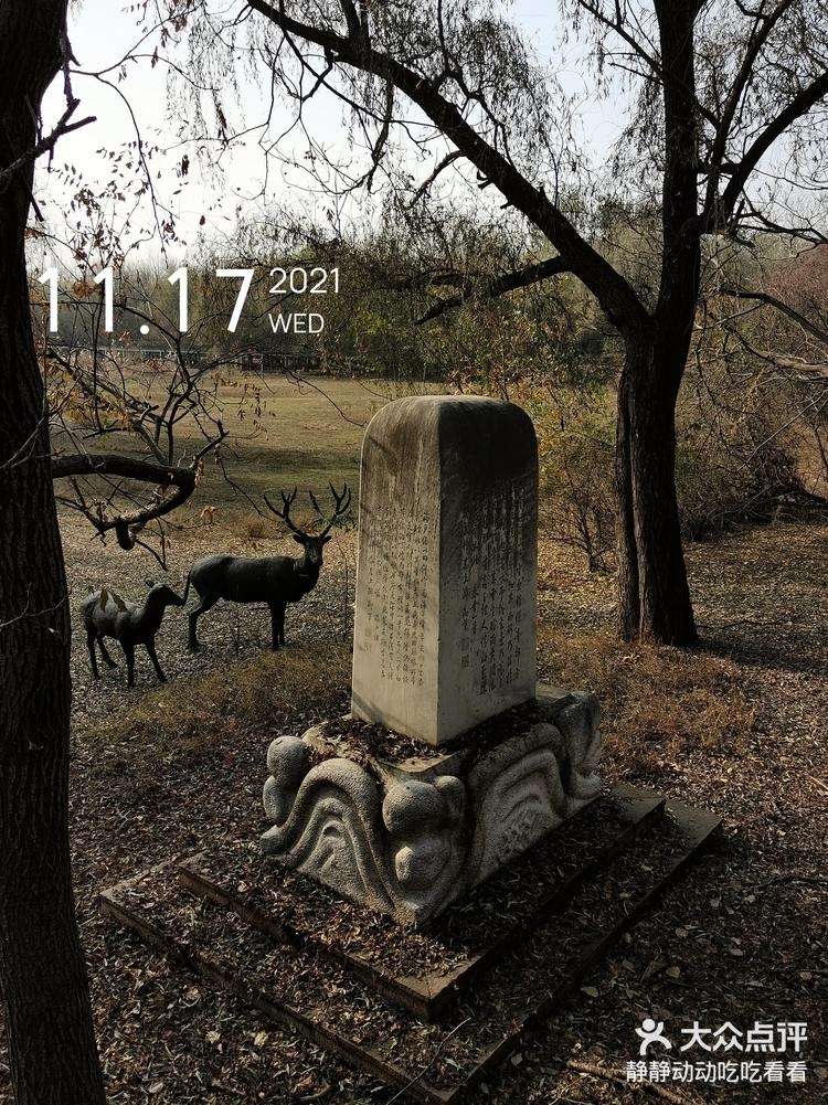 追寻麋鹿踪迹之七麋鹿苑里的石碑与寺庙遗迹