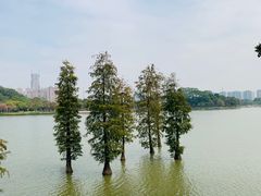 -顺峰山公园