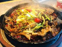 -老板恋上鱼(恒隆广场店)