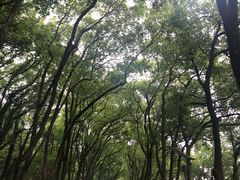 -上海市保健医疗中心