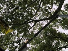 -锦屏公园