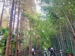 -同里国家湿地公园