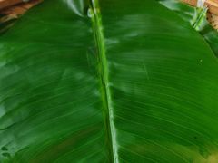 -甘家界牌柠檬鸭(青山店)