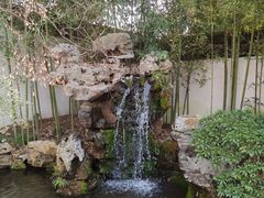 -上海醉白池公园