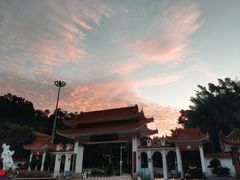 -深圳仙湖植物园
