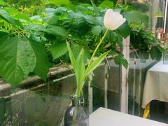 -春暖花开(西溪店)