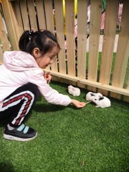 -萌宠亲子动物乐园(槐房万达店)