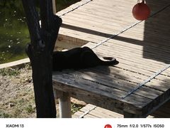 -石家庄市动物园