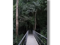 -鹿野苑石刻艺术博物馆