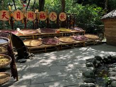 -天目湖山水园