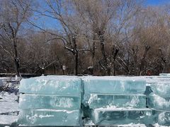 -长春市南湖公园