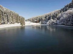 -武陵山森林公园