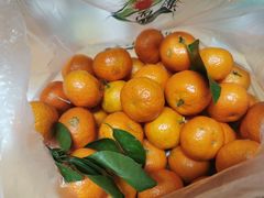 -复旦大学本部-食堂