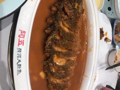 -阿五黄河大鲤鱼(海尚店)