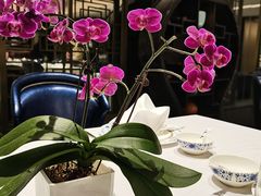 -Yan Ting 宴庭中餐厅(上海静安瑞吉酒店)