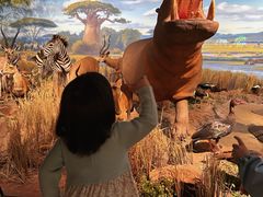 -陕西自然博物馆