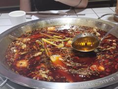 -蛙一刀·麻椒鱼火锅(金仙桥店)