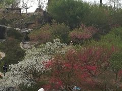 -秀丽东方