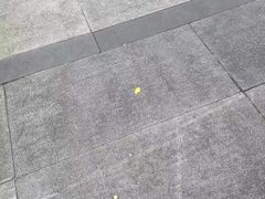 -两江幸福广场