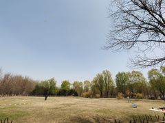 -东升八家郊野公园