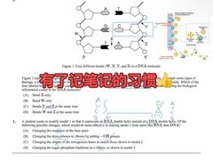 -JT PREP国际学科课程·IB·AP·Alevel(陆家嘴校区)