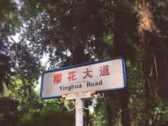 -武汉大学-樱园