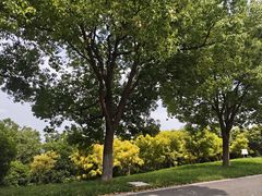 -南京市江宁方山