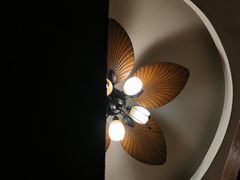 -啪啪嘶(长春大学店)