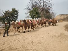 -古柏渡飞黄旅游区