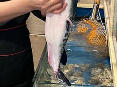 -天正河鲀·河豚亭(大连店)