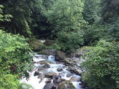 -西岭雪山大飞水景区