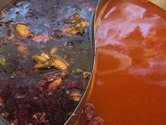 -铭记蛙小仙·活蛙畅享(CBD万达广场店)