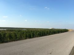 -南汇嘴观海公园