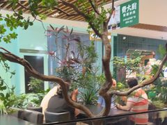 -大神太神·铁板烧(七宝领展广场店)
