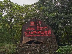-海口火山口国家地质公园