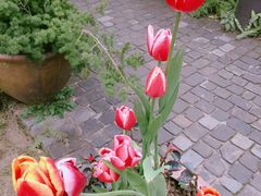 -驿舍·民國老营房院子私房菜(科学会堂店)