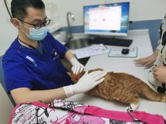 -柏萃动物医院·骨科·牙科