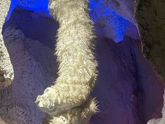 -房山世界地质公园博物馆