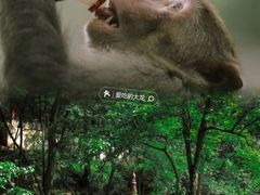 -黔灵山公园