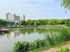 -南翔镇银翔湖公园