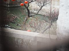 -巡塘古镇