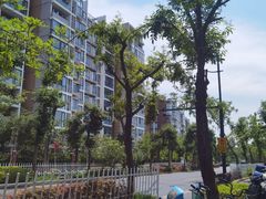-新江湾城公园