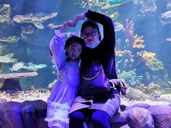 -华夏文旅海洋公园