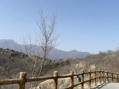 -白水寺森林公园