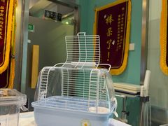-雨林宠物医院 非犬猫异宠专科