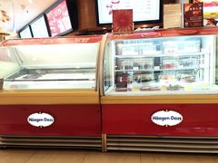 -哈根达斯(石家庄北国店)