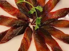 土鳝鱼-老码头火锅(玉林店)
