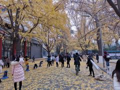 -四川大学(华西校区)