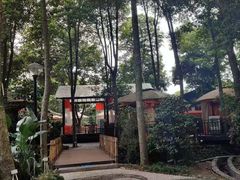 -二荆条·蜀鲜汇城市森林火锅